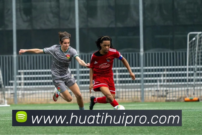 华体会体育发展历程